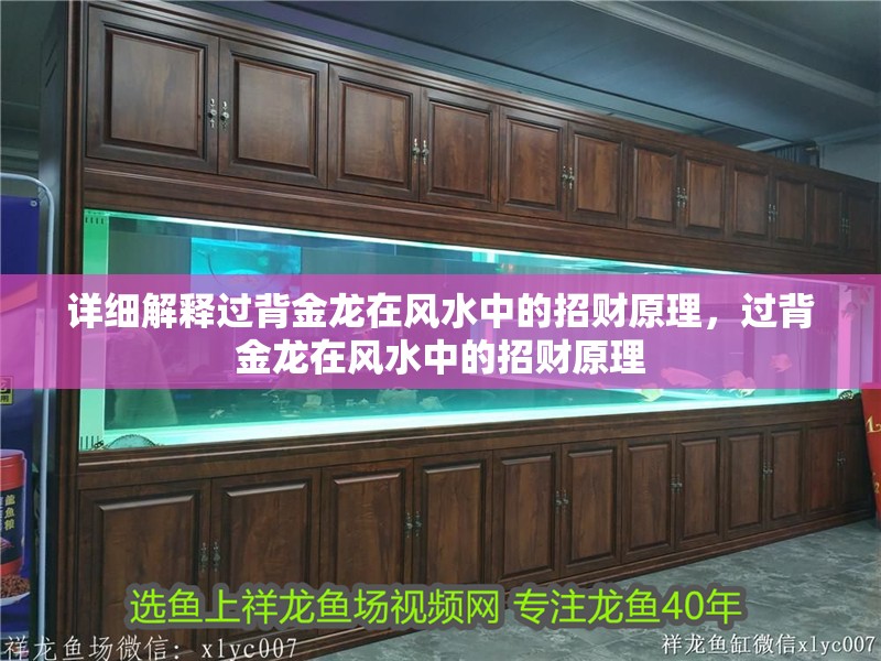 詳細解釋過背金龍在風水中的招財原理，過背金龍在風水中的招財原理