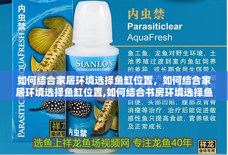 如何結合家居環境選擇魚缸位置，如何結合家居環境選擇魚缸位置,如何結合書房環境選擇魚缸位置