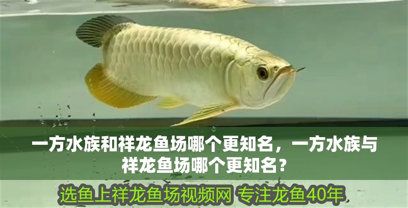 一方水族和祥龍魚場哪個更知名，一方水族與祥龍魚場哪個更知名？