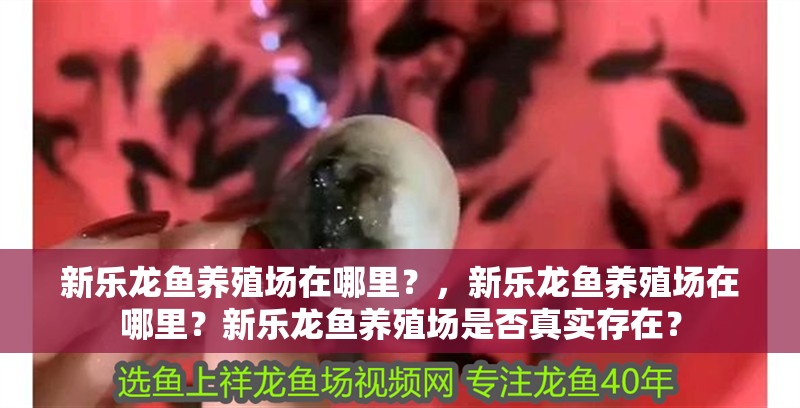 新樂龍魚養(yǎng)殖場在哪里？，新樂龍魚養(yǎng)殖場在哪里？新樂龍魚養(yǎng)殖場是否真實存在？