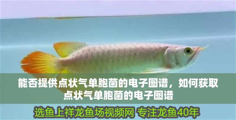 能否提供點狀氣單胞菌的電子圖譜，如何獲取點狀氣單胞菌的電子圖譜