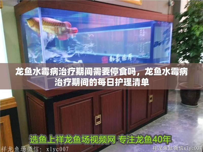 龍魚水霉病治療期間需要停食嗎，龍魚水霉病治療期間的每日護理清單 龍魚水霉病治療期間需要停食嗎，龍魚水霉病治療期間的每日護理清單 龍魚百科