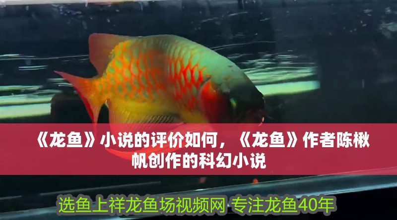 《龍魚》小說的評價如何，《龍魚》作者陳楸帆創作的科幻小說