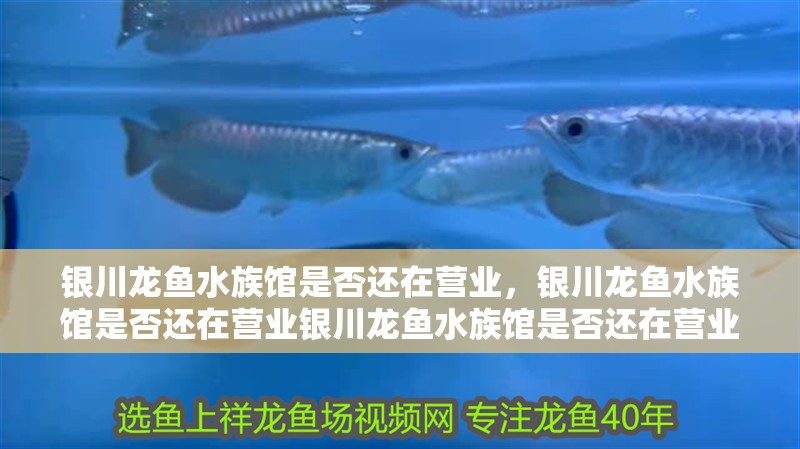 銀川龍魚水族館是否還在營(yíng)業(yè)，銀川龍魚水族館是否還在營(yíng)業(yè)銀川龍魚水族館是否還在營(yíng)業(yè)