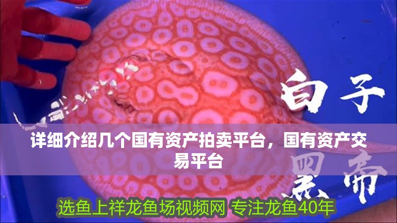 詳細介紹幾個國有資產拍賣平臺，國有資產交易平臺