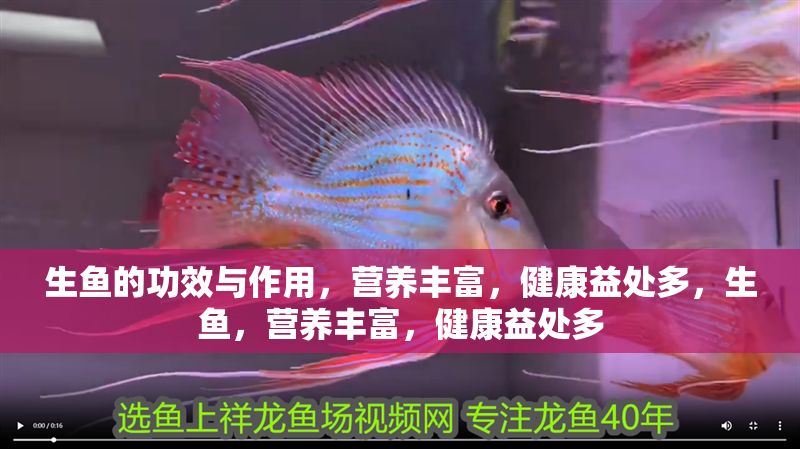 生魚的功效與作用，營養(yǎng)豐富，健康益處多，生魚，營養(yǎng)豐富，健康益處多