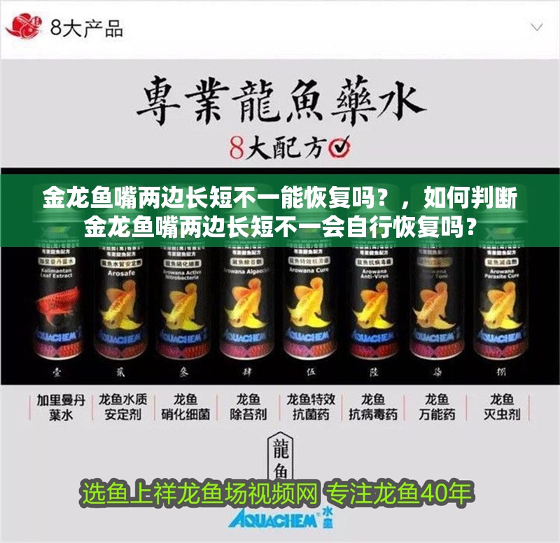 金龍魚嘴兩邊長短不一能恢復嗎？，如何判斷金龍魚嘴兩邊長短不一會自行恢復嗎？