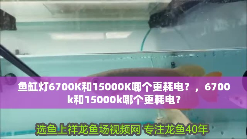 魚缸燈6700K和15000K哪個(gè)更耗電？，6700k和15000k哪個(gè)更耗電？