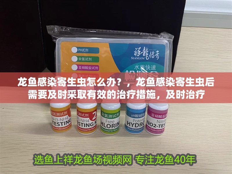 龍魚感染寄生蟲怎么辦？，龍魚感染寄生蟲后需要及時采取有效的治療措施，及時治療