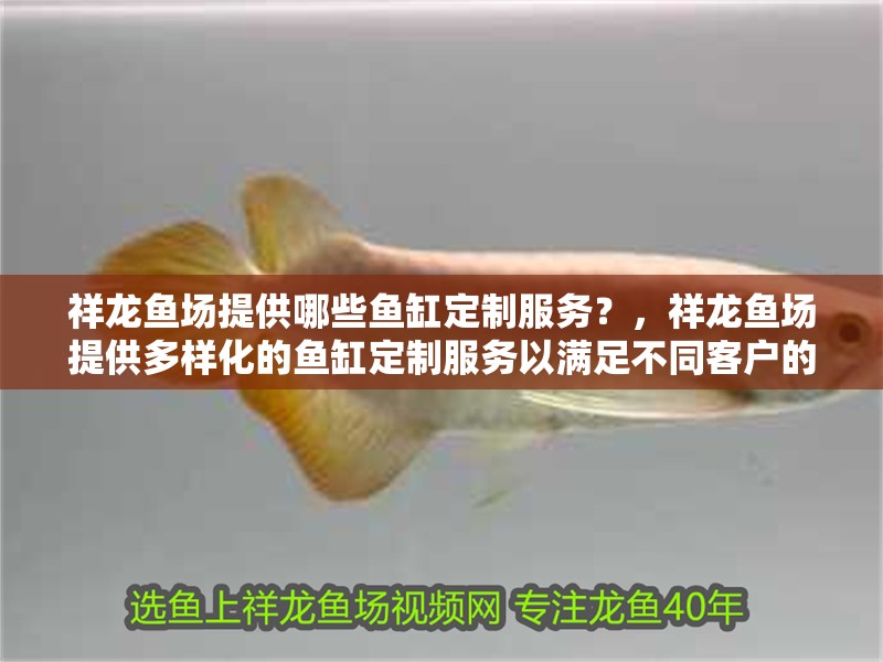 祥龍魚場(chǎng)提供哪些魚缸定制服務(wù)？，祥龍魚場(chǎng)提供多樣化的魚缸定制服務(wù)以滿足不同客戶的需求