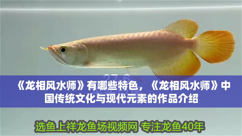 《龍相風水師》有哪些特色，《龍相風水師》中國傳統文化與現代元素的作品介紹