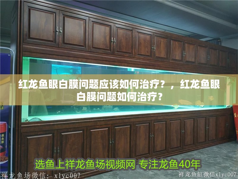 紅龍魚眼白膜問題應該如何治療？，紅龍魚眼白膜問題如何治療？