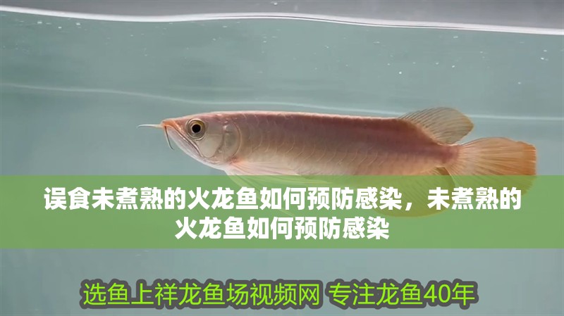 誤食未煮熟的火龍魚如何預防感染，未煮熟的火龍魚如何預防感染