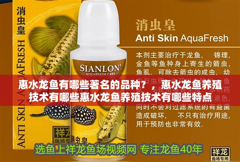 <strong><mark>惠水</mark></strong>龍魚有哪些著名的品種？，<strong><mark>惠水</mark></strong>龍魚養殖技術有哪些<strong><mark>惠水</mark></strong>龍魚養殖技術有哪些特點