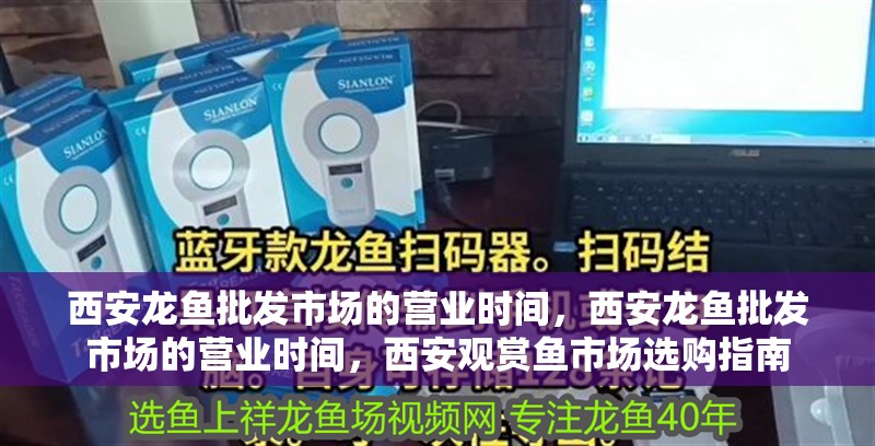 <strong><mark>西安</mark></strong>龍魚批發(fā)市場的營業(yè)時(shí)間，<strong><mark>西安</mark></strong>龍魚批發(fā)市場的營業(yè)時(shí)間，<strong><mark>西安</mark></strong>觀賞魚市場選購指南