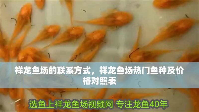 祥龍魚場(chǎng)的聯(lián)系方式，祥龍魚場(chǎng)熱門魚種及價(jià)格對(duì)照表