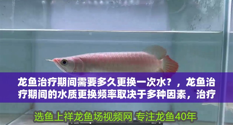 龍魚治療期間需要多久更換一次水？，龍魚治療期間的水質(zhì)更換頻率取決于多種因素，治療期間水質(zhì)更換頻率