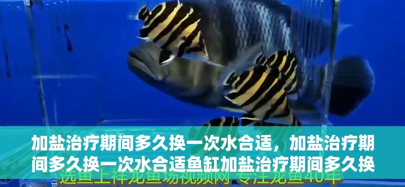 加鹽治療期間多久換一次水合適，加鹽治療期間多久換一次水合適魚缸加鹽治療期間多久換一次水合適
