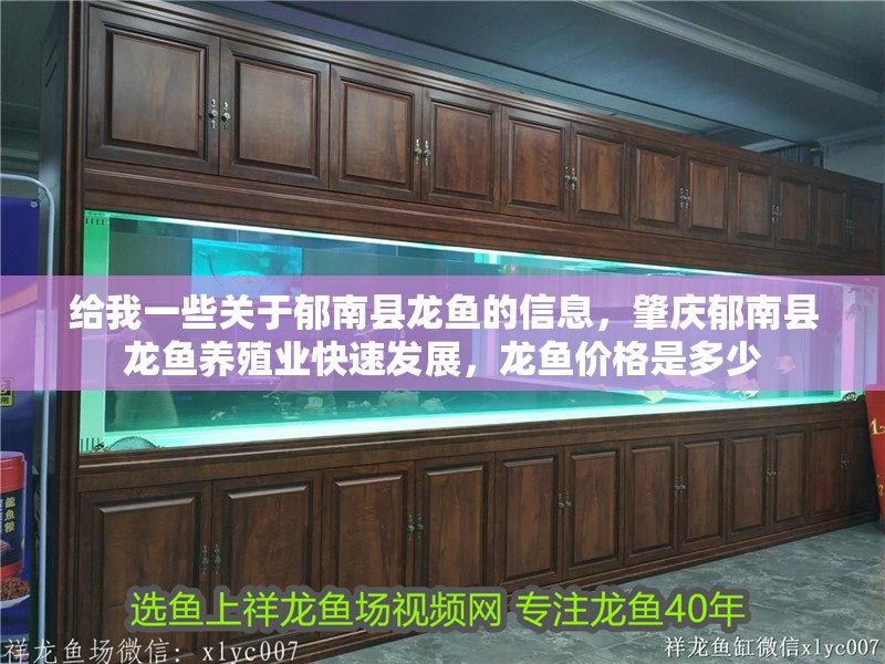 給我一些關于<strong><mark>郁南</mark></strong>縣龍魚的信息，肇慶<strong><mark>郁南</mark></strong>縣龍魚養殖業快速發展，龍魚價格是多少