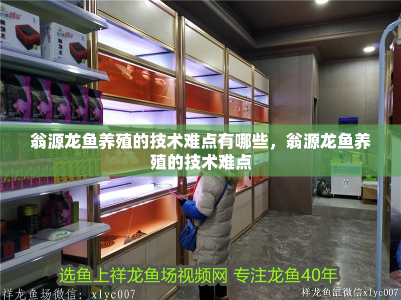 <strong><mark>翁源</mark></strong>龍魚養(yǎng)殖的技術(shù)難點(diǎn)有哪些，<strong><mark>翁源</mark></strong>龍魚養(yǎng)殖的技術(shù)難點(diǎn)
