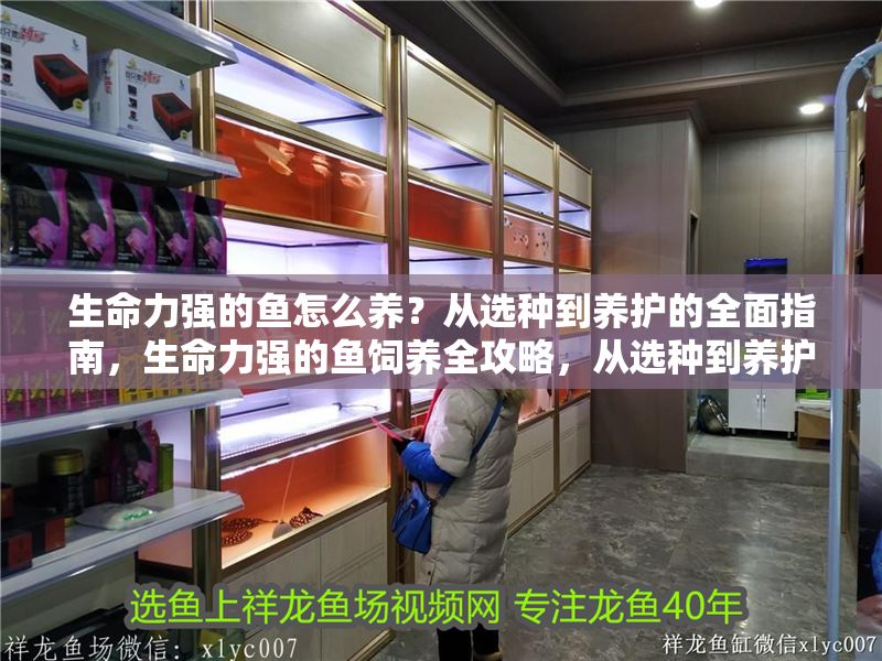 生命力強的魚怎么養？從選種到養護的全面指南，生命力強的魚飼養全攻略，從選種到養護的終極指南