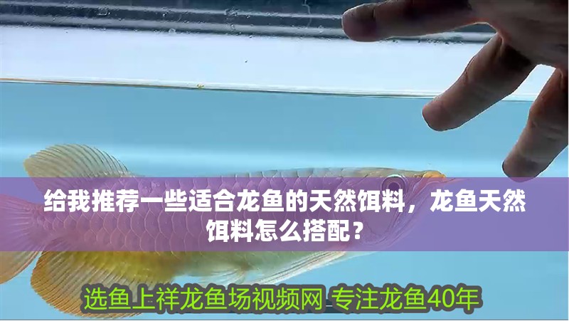 給我推薦一些適合龍魚的天然餌料，龍魚天然餌料怎么搭配？