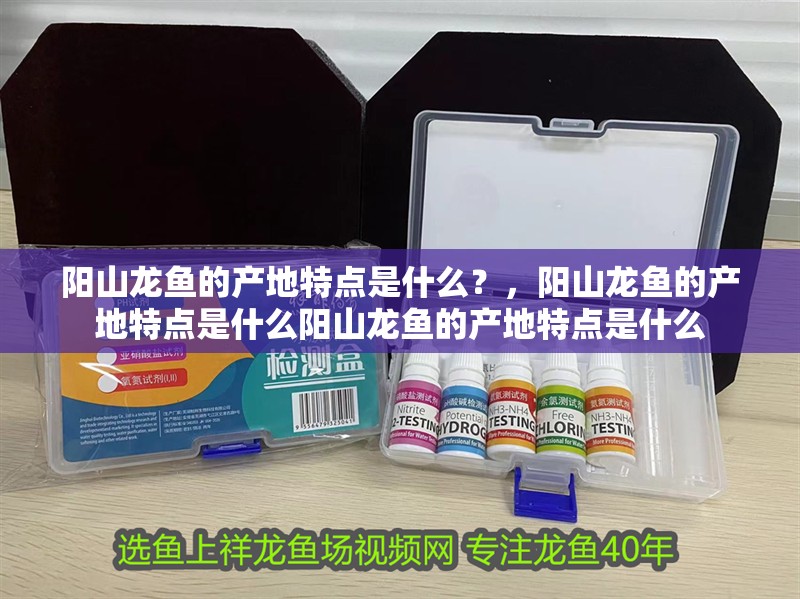 陽山龍魚的產(chǎn)地特點是什么？，陽山龍魚的產(chǎn)地特點是什么陽山龍魚的產(chǎn)地特點是什么