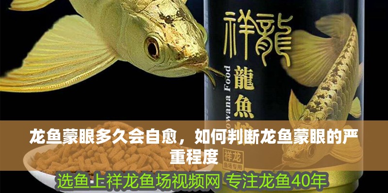 龍魚蒙眼多久會自愈，如何判斷龍魚蒙眼的嚴重程度