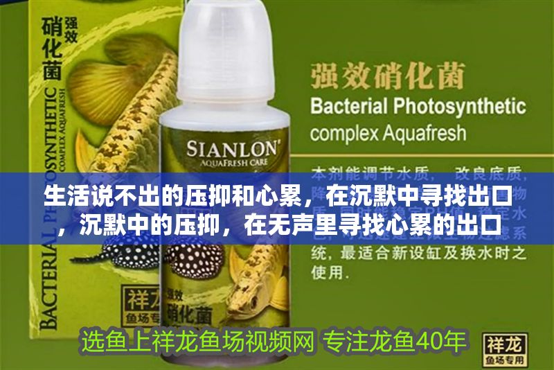 生活說不出的壓抑和心累，在沉默中尋找出口，沉默中的壓抑，在無聲里尋找心累的出口