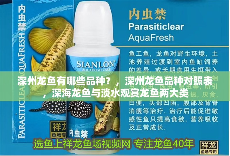 <strong><mark>深州</mark></strong>龍魚有哪些品種？，<strong><mark>深州</mark></strong>龍魚品種對(duì)照表，深海龍魚與淡水觀賞龍魚兩大類