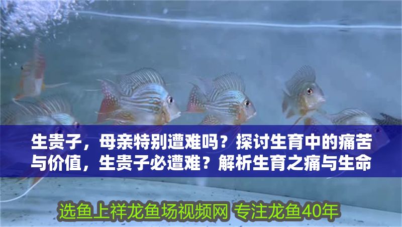 生貴子，母親特別遭難嗎？探討生育中的痛苦與價值，生貴子必遭難？解析生育之痛與生命價值的深層關聯
