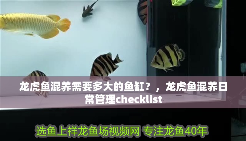 龍虎魚混養(yǎng)需要多大的魚缸？，龍虎魚混養(yǎng)日常管理checklist