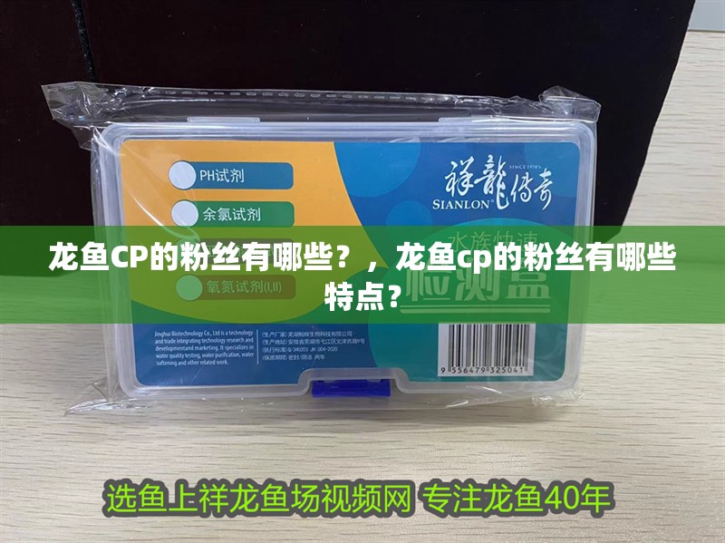 龍魚CP的粉絲有哪些？，龍魚cp的粉絲有哪些特點？