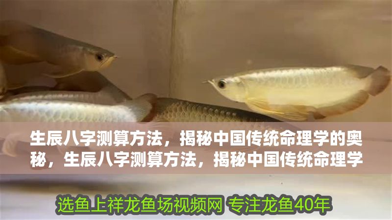 生辰八字測算方法，揭秘中國傳統(tǒng)命理學的奧秘，生辰八字測算方法，揭秘中國傳統(tǒng)命理學的核心奧秘 生辰八字測算方法，揭秘中國傳統(tǒng)命理學的奧秘，生辰八字測算方法，揭秘中國傳統(tǒng)命理學的核心奧秘 龍魚百科 第1張