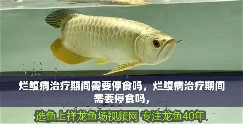 爛鰒病治療期間需要停食嗎，爛鰒病治療期間需要停食嗎，