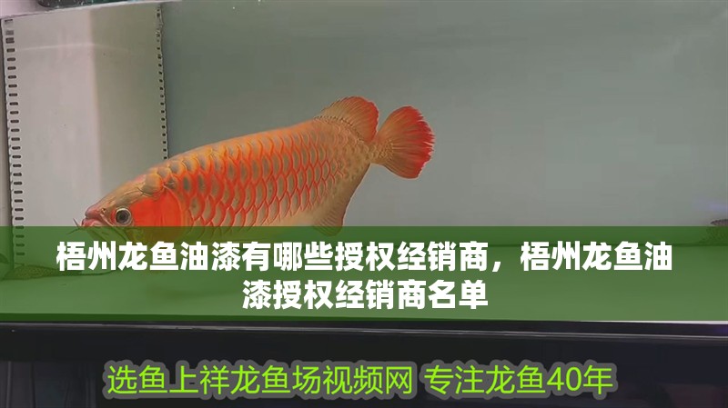 梧州龍魚(yú)油漆有哪些授權(quán)經(jīng)銷(xiāo)商，梧州龍魚(yú)油漆授權(quán)經(jīng)銷(xiāo)商名單