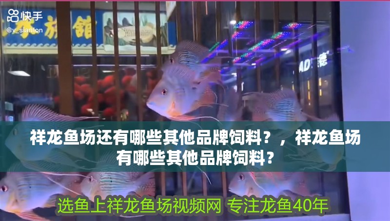 祥龍魚場還有哪些其他品牌飼料？，祥龍魚場有哪些其他品牌飼料？