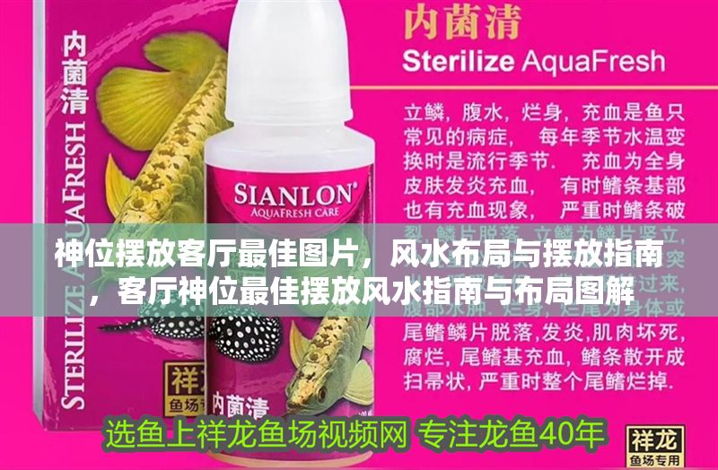 神位擺放客廳最佳圖片，風(fēng)水布局與擺放指南，客廳神位最佳擺放風(fēng)水指南與布局圖解