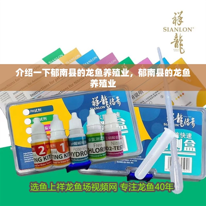 介紹一下<strong><mark>郁南</mark></strong>縣的龍魚養殖業，<strong><mark>郁南</mark></strong>縣的龍魚養殖業