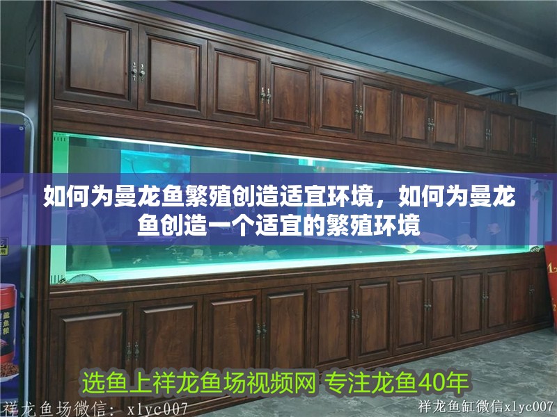 如何為曼龍魚繁殖創(chuàng)造適宜環(huán)境，如何為曼龍魚創(chuàng)造一個適宜的繁殖環(huán)境