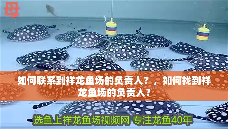如何聯系到祥龍魚場的負責人？，如何找到祥龍魚場的負責人？