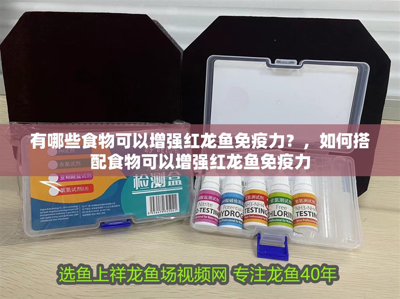 有哪些食物可以增強紅龍魚免疫力？，如何搭配食物可以增強紅龍魚免疫力