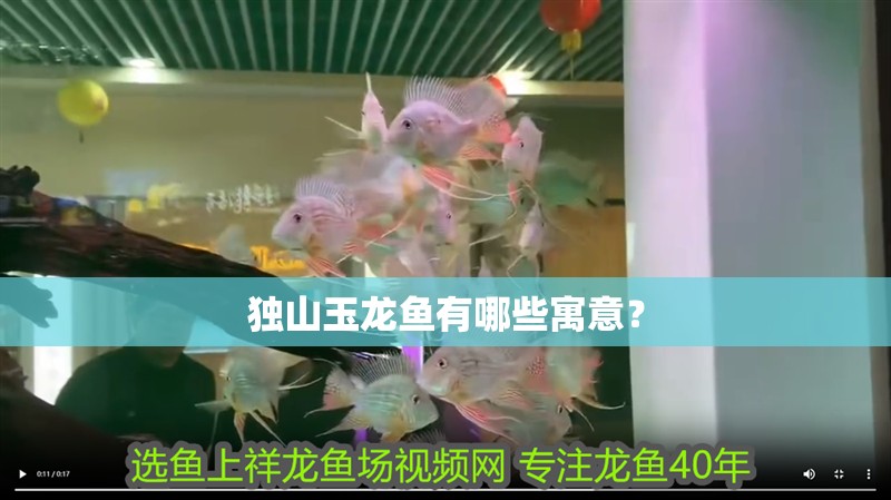 獨山玉龍魚有哪些寓意？
