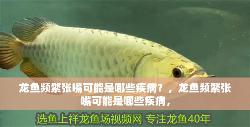 龍魚頻繁張嘴可能是哪些疾病？，龍魚頻繁張嘴可能是哪些疾病，