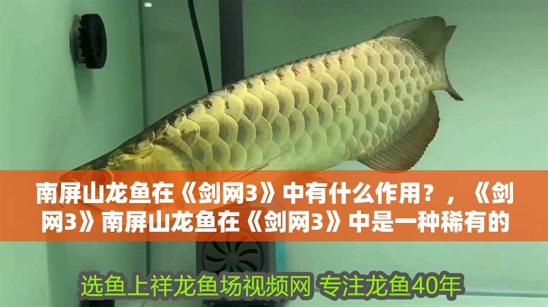 南屏山龍魚在《劍網3》中有什么作用？，《劍網3》南屏山龍魚在《劍網3》中是一種稀有的寵物