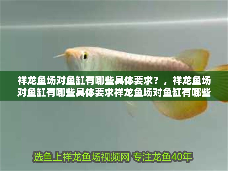 祥龍魚場對魚缸有哪些具體要求？，祥龍魚場對魚缸有哪些具體要求祥龍魚場對魚缸有哪些要求