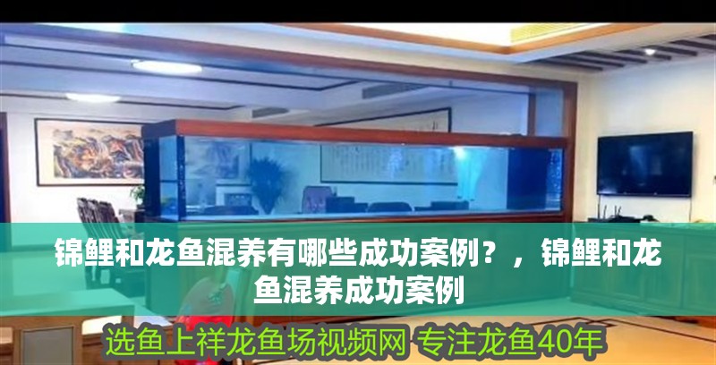 錦鯉和龍魚混養有哪些成功案例？，錦鯉和龍魚混養成功案例