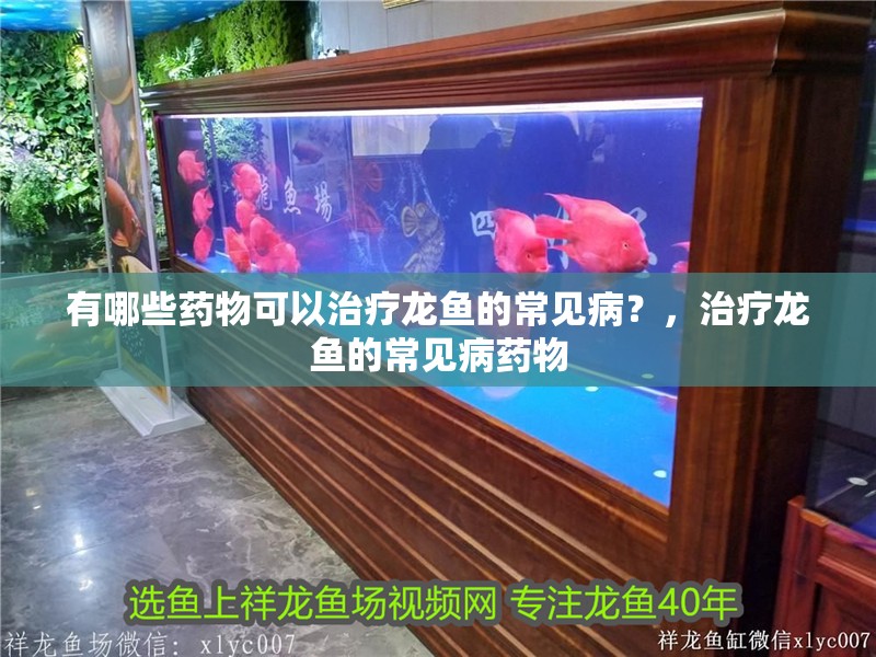 有哪些藥物可以治療龍魚(yú)的常見(jiàn)病？，治療龍魚(yú)的常見(jiàn)病藥物