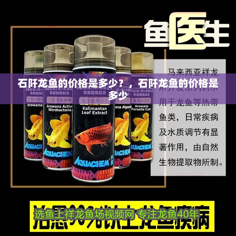 石阡龍魚的價格是多少？，石阡龍魚的價格是多少