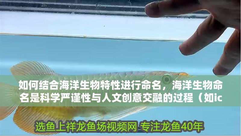 如何結(jié)合海洋生物特性進行命名，海洋生物命名是科學(xué)嚴(yán)謹(jǐn)性與人文創(chuàng)意交融的過程（如iczn）